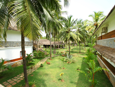 Portfolio Image